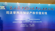 张志峰律师参加的第二届中国知识产权法院论坛